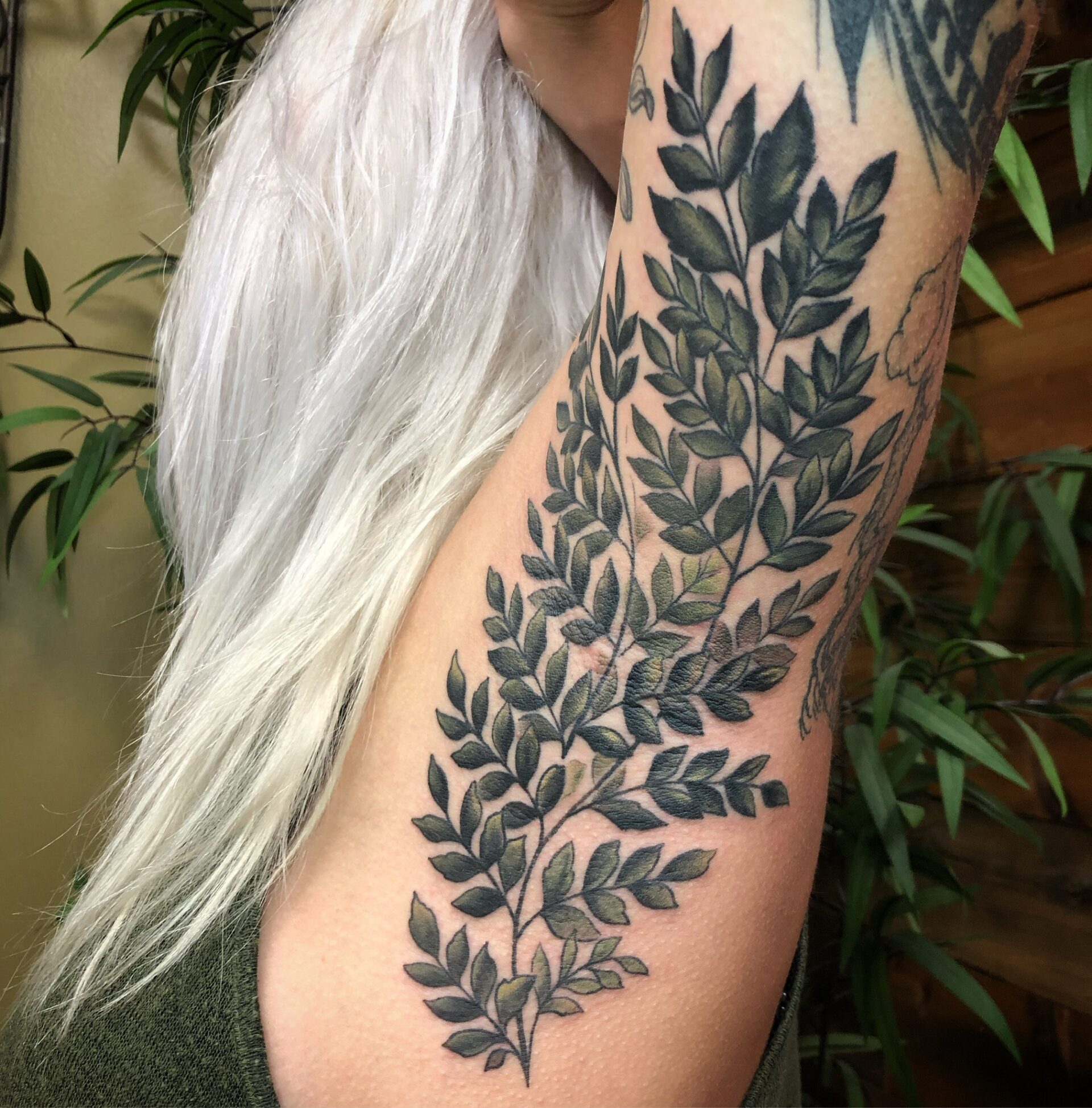 Pit Fern | Tattoo