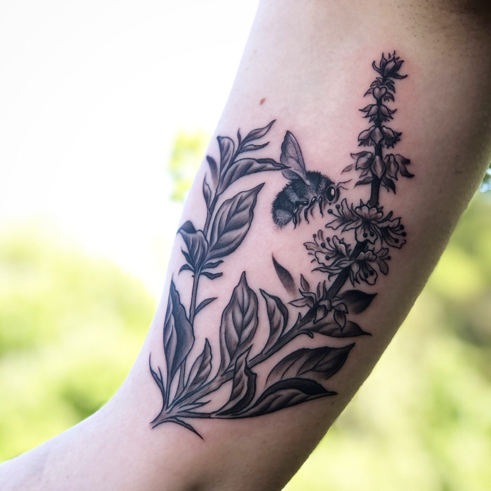 Basil Bee | Tattoo