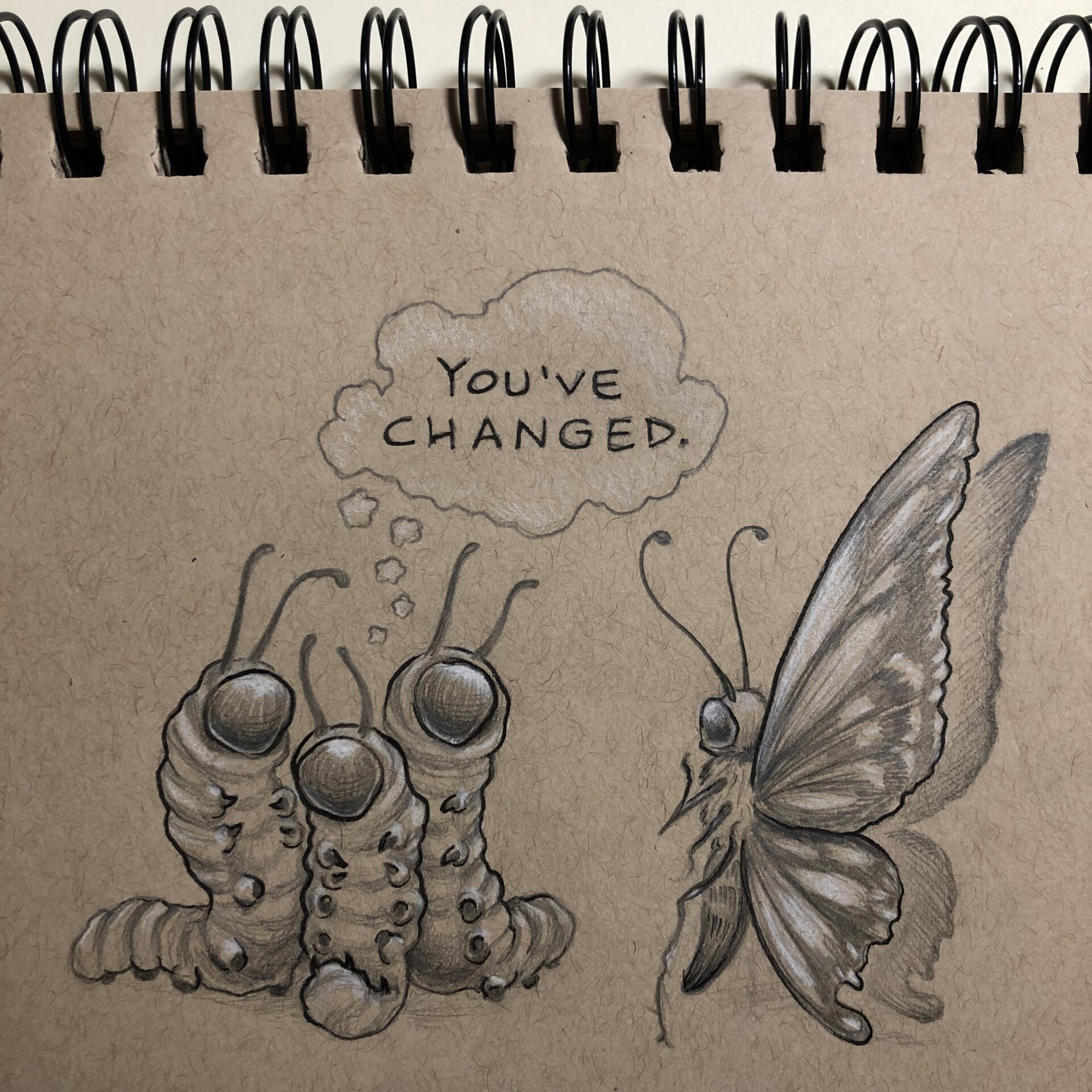 Metamorphosis I Pencil & Ink